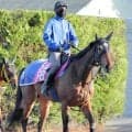 【注目馬動向】関東オークスで重賞初制覇のオルフェーヴル産駒　ペンダントはブリーダーズゴールドＣで連勝目指す
