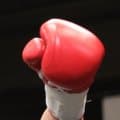 32歳英女子ボクサー、スパーの後に倒れて開頭手術　治療費用捻出へ募金活動　24年世界挑戦も