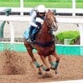 【札幌記念】重賞２勝のシェイクユアハートは宮調教師が満点評価　「息の乱れもなく、ぶれもないし、何の問題もない」