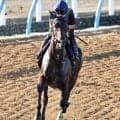 【注目馬動向】佐渡Ｓでオープン入りした皐月賞３着馬ライヒスアドラーは毎日王冠へ