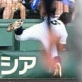 プレーボール直後のスーパープレーに場内どよめき　東日本国際大・渡辺がカメラマン席飛び込み打球キャッチ