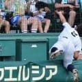 東日大昌平の三塁手がスーパーキャッチ！カメラマン席飛び込みながら好捕、甲子園からどよめき【26年夏甲子園】