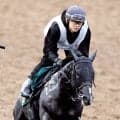 【ＰＯＧ】叔父にＧ１・２勝馬が２頭いるリボンロードが初陣Ｖへ　上原佑調教師「そんなに今のところ弱点もない」