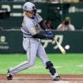 【阪神】坂本誠志郎が逆転２ラン「しっかり捉えることができてよかった」