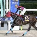 兵庫からの刺客が黒潮盃制覇　６番人気ミルトイブニングが大井で重賞２勝目