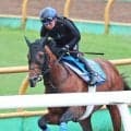 【岩田康誠の熱血！！競馬道】札幌記念のホウオウビスケッツは素軽さ出た最終追いで手応え深まる　「今週はガラッと動きが変わりました」