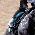 【ＰＯＧ談義】現場記者が「弱点ない」と聞いた良血馬が新潟で初陣　中京は動き目立つロードカナロア産駒で「勝負！」