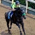 【中京記念】サトノシャイニングとコレット騎手は６枠１２番　ナムラコスモスと田口貫太騎手は５枠１０番に決定