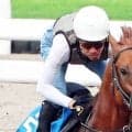 【札幌記念・金曜気配】シェイクユアハートは角馬場で運動してから札幌へ輸送　宮調教師「自分の競馬ができたらいいね」