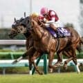 【キーンランドC想定馬・騎手】ウインカーネリアン、パンジャタワーなど19頭
