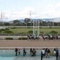 【園田・摂津盃結果】オマツリオトコが豪快に差し切って久々の重賞勝利
