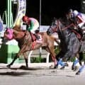 【阪神アーバン競馬・摂津盃】３番人気オマツリオトコが復活星　２２年兵庫ジュニアグランプリ以来のタイトル