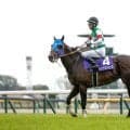 【仏・ジャックルマロワ賞枠順確定】シックスペンスは5番ゲート、シュトラウスは1番ゲート