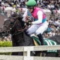 二冠馬ロブチェンの半兄 ブラックボイスが新潟JSで重賞初制覇狙う