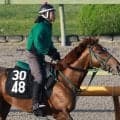 【１５日の注目・札幌１２Ｒ】“あっくん”アーレムアレスとミッキーファルコンの３歳素質馬対決