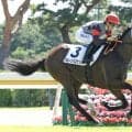 【新潟１Ｒ・２歳未勝利】フルーツバスケットが２番手から押し切り３馬身差の完勝　川田騎手「いい勝ち方ができました」