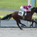 【中京1R】スマートポーションが快勝 6→13→10人気で3連単878万3430円の大波乱