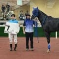 【中京２Ｒ・３歳未勝利】約２３年ぶりの珍事がヤマニンアレシス救う！　分割して実施された競走で本来なら除外対象馬がＶ