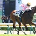 【新潟３Ｒ・２歳新馬】モーリス産駒ピコベリーが初陣Ｖ　津村明秀騎手「楽しみ」　圧倒的１番人気のリボンロードは５着