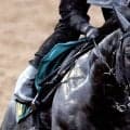 【新潟３Ｒ・２歳新馬】単勝１・３倍のリボンロードはまさかの５着　上原佑調教師「いざヨーイドンで追い出すと…」