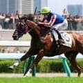 【札幌５Ｒ・２歳新馬】ジオパークカツキが逃げて上がり最速の完勝　横山武史騎手「まだまだ成長途上」