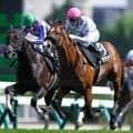 【コスモス賞結果】デアグランツが人気2頭の一騎打ちを制し無傷2連勝