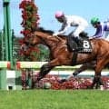【札幌９Ｒ・コスモス賞】２番人気デアグランツが差し切り連勝　浜中俊騎手「手応え通りかわしてくれました」