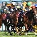 【札幌記念予想】今回は適性面から能力を出し切れない可能性大！ 血統面から大きく割り引きたい人気の一角とは