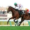 【札幌１２Ｒ・積丹特別】２冠牝馬の子ミッキーファルコンが圧勝　母の主戦も務めた浜中俊騎手「ちょっと馬が違う」