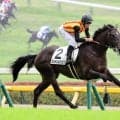 【注目馬動向】絶好調のエフフォーリア産駒が芙蓉Ｓへ　叔父にクロワデュノールがいるジョドレルバンクの次走候補に