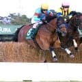 【新潟ジャンプＳ】ローディアマントが手に汗握る攻防を首差制す　伴啓太騎手「僕の馬が一番強いと思って乗った」
