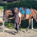 【札幌記念・土曜気配】２回連続で人気より激走しているアラタが再び波乱を呼び込む　陣営「適性に期待したい」