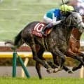 【AI予想・札幌記念】前走GIで上位争いした馬を素直に評価すべき一戦！ 今年のメンバーなら堂々の主役と言える人工知能の本命馬