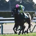 【中京記念前日オッズ】サトノシャイニングが4.1倍で1番人気