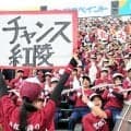 「チャンス紅陵」アルプス席から勇気　リズムに乗ってのびのびプレー