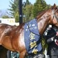 【今日の注目ポイント】札幌記念と中京記念　フランスではジャックルマロワ賞
