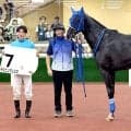 【中京２Ｒ・３歳未勝利】ヤマニンアレシス、２３年ぶり分割競走のおかげで本来なら除外対象馬が快勝