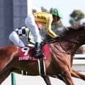 【競馬予想】札幌記念は波乱必至！　過去10年１番人気未勝利の難解なレースで穴党記者が推す２頭