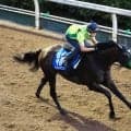 【中京記念・馬トク最終ジャッジ】１０か月半ぶり実戦のサトノシャイニング　上位の地力も厚い信頼は？