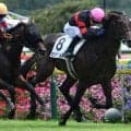 【中京3R新馬戦結果】ロードカナロア産駒ホウオウワールドが接戦を制す