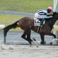 【中京2R新馬戦結果】フィレンツェファイア産駒パシアンジェンヌが逃げ切り快勝