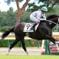 「素晴らしいおかん」「姐さんは偉大」５世代続けて勝ち馬を送り出した母スマートレイアーにネット称賛　新潟４Ｒで新馬Ｖ