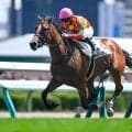 【札幌5R新馬戦結果】コントレイル産駒シティオブドリームが逃げ切り勝ち