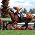 【札幌５Ｒ・２歳新馬】横山典弘騎手のシティオブドリームが逃げ切り　昆調教師「伸びしろしかない」