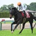【札幌記念・馬体重】ショウヘイは464kg(-12)、アドマイヤテラは494kg(-6)