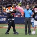 白井一行審判員が2000試合出場　ストライクコールの声が大きく響くことでも有名