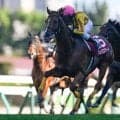 【札幌記念結果】シェイクユアハートが突き抜け完勝！ コースレコードを18年ぶりに更新