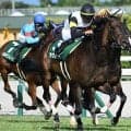【中京記念結果】ラヴァンダが差し切りレコードV 重賞2勝目