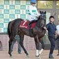 【札幌記念】ショウヘイは７着で重賞３勝目ならず　１番人気は１５連敗　川田将雅騎手は当レース４勝目逃す