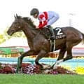 【札幌１２Ｒ・阿寒湖特別】単勝１・２倍の３歳馬ダノンヒストリーが衝撃の８馬身差Ｖ　佐々木大輔騎手「馬の能力が違った」